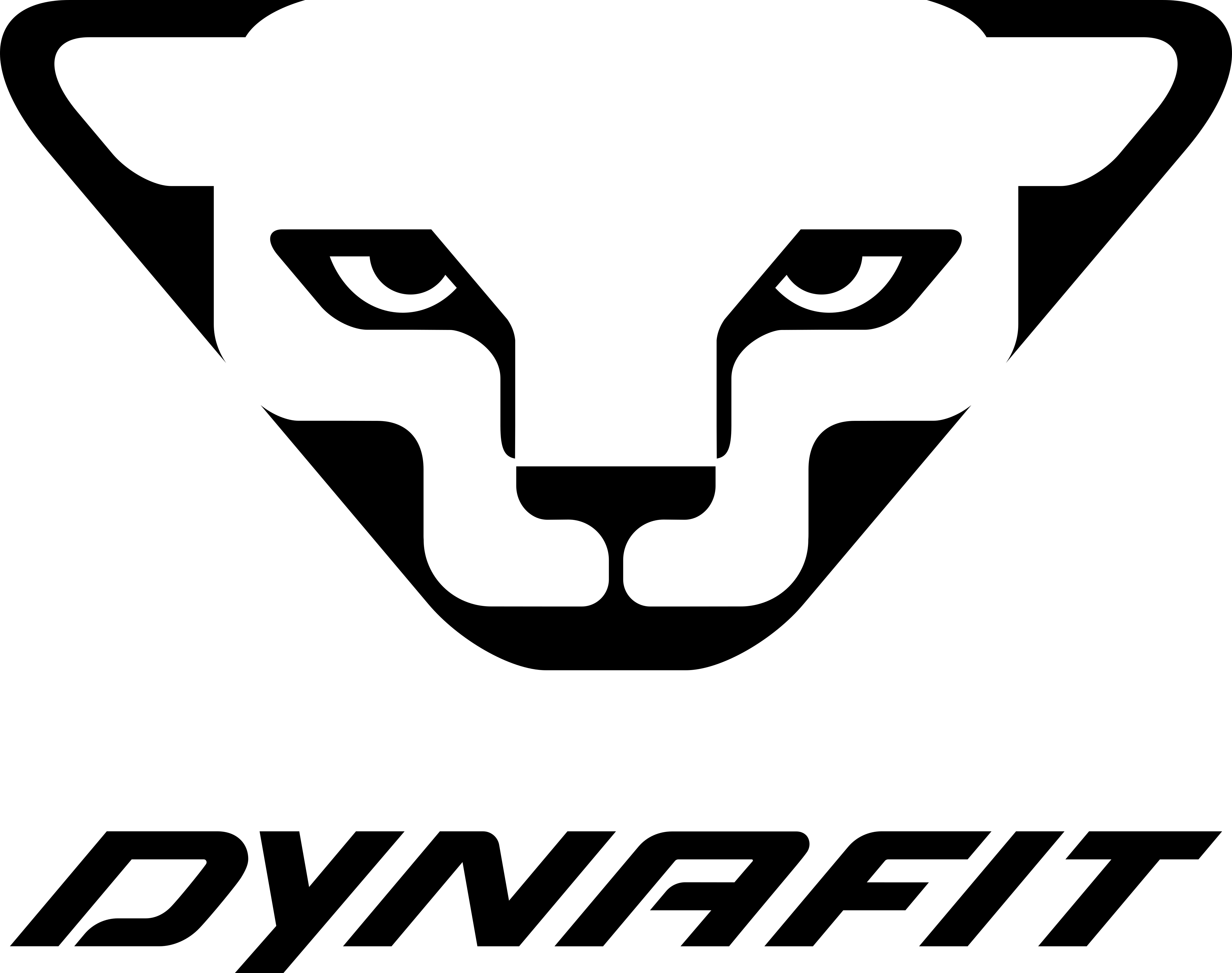 DYNAFITE